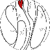 boblang412