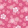 SAKURA☆サクラ