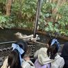 アンナサン