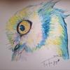 owl2202