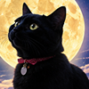 幸運の黒猫★東洋占術のプロ