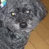 Watanabe Hiromi2