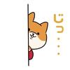 calin design