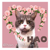 hao_nyannyan