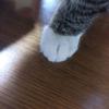 さんじろう