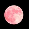 julymoonnana