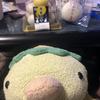 かっぱ31