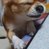 ひろりく