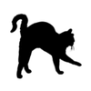 fumiyo