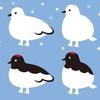 雷鳥さん