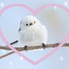 シマちゃん♡