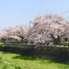 心晴（こはる）の部屋