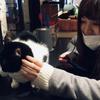 いけむ