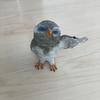 あい動画編集