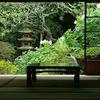 shunshun555