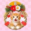 猫好きな旅人