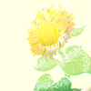 ほしぼたん