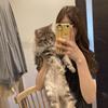 momoko_530