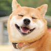 シークレットちゃん