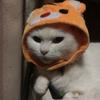 及川佑樹