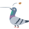 pigeonexpress