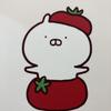 かりかりせんべい