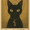 占い ねこ日和
