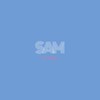 Sam design factory