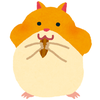 maju77