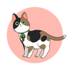 gatyamucc