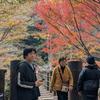 shunsukeirie1991