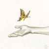 Butterfly K