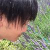 nmlov7