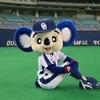 ドアラちゃん