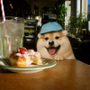 ハクキンイ