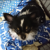 竹村勇輝