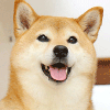 みしまなつみ
