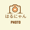 はるにゃんPhoto