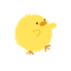 こぽぽこ
