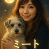 美灯 ミート