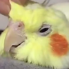 とにとに