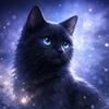 黒猫の霊視士 朔 【さく】