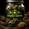 Studio Grass House