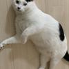 古門秀俊