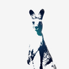 KangarooMusic