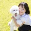 獣医師　佐藤ひろこ