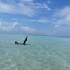 maldives