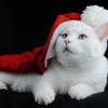 なゆ0909