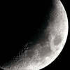 月見言