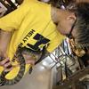 snake309